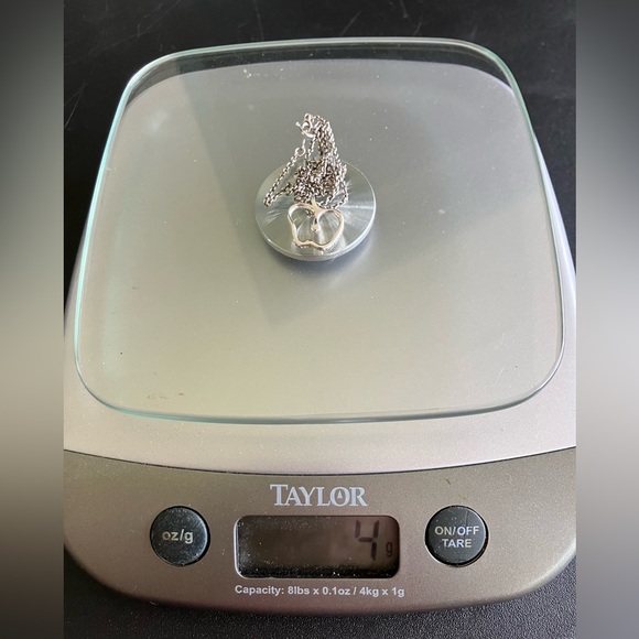 🩵 TIFFANY 🩵 and Co Elsa Peretti Apple pendant on Tiffany SS 16” chain - Picture 11 of 11